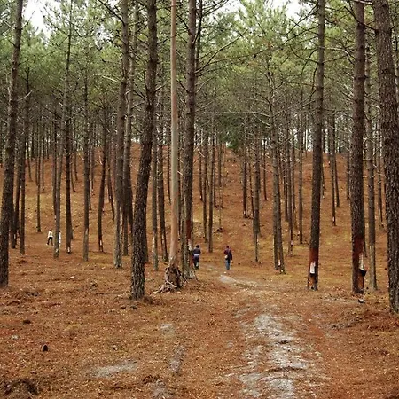 Сasa de vacaciones Casa Ana *